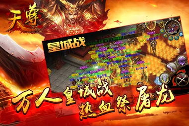 九龙天师短剧全集，九龙天尊的奇幻冒险--第1张