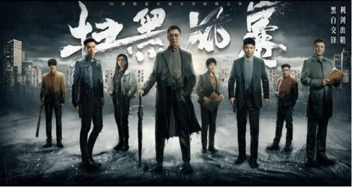 风暴短剧全集，一场风暴中的惊心动魄剧情解析--第1张