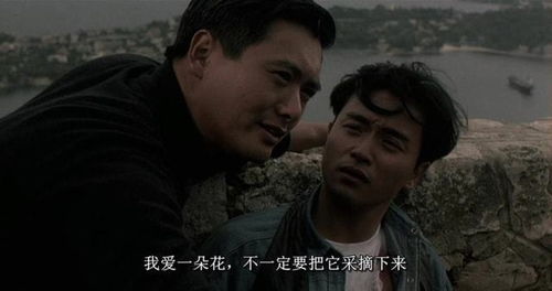 老炮出山老炮纵横四海短剧全集资讯剧情 老炮讲解 --第1张