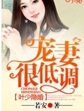 叶少你的老婆是仙界上神短剧全集，叶少你老婆他又跑了免费阅读--第1张
