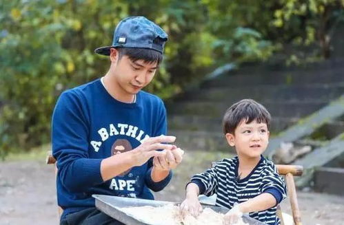 特工儿子找爸爸 特工儿子民工父亲短剧全集，一场关于亲情与成长的挑战 --第1张