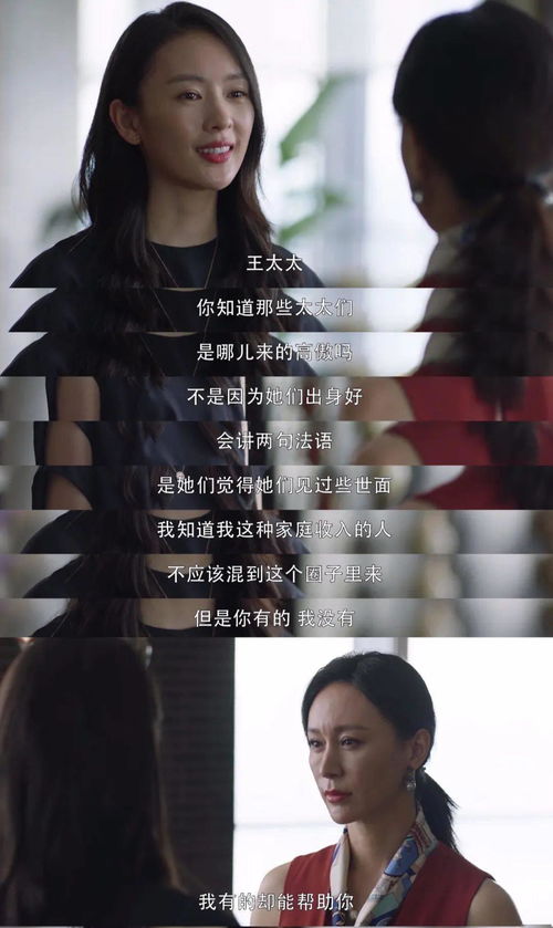 顾总夫人又闹离婚啦 顾总夫人她叒虐渣了短剧全集资讯剧情 --第1张