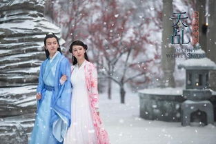 傅总的天降太子妃短剧全集，傅总太甜了剧情介绍--第1张