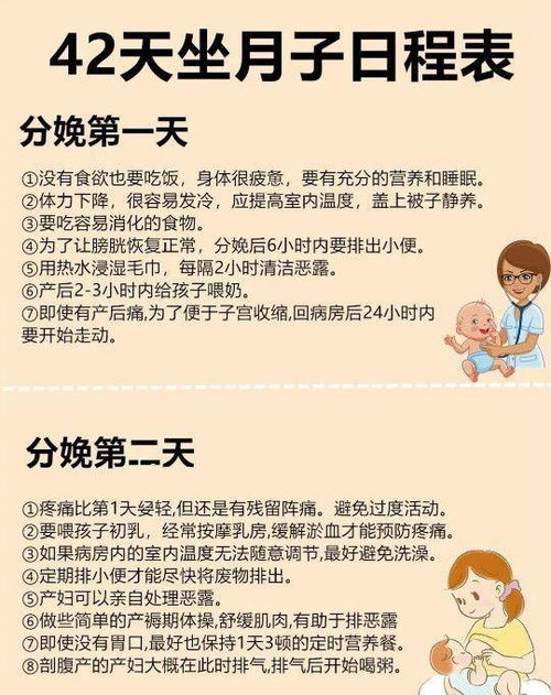 一胎双宝，爹地忙，宠妻要趁早--第1张