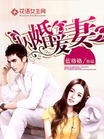 闪婚后谢太太被宠上天，闪婚小说谢剧情简介--第1张