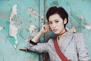 我和前妻谈恋爱演员表 我和前妻的爱恨情仇短剧全集资讯剧情 --第1张