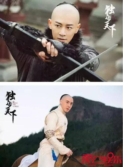 炮灰穿的好奸臣也折腰全集免费阅读最新剧情小说--第1张