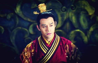太子他又被人害了穿越剧短剧全集资讯剧情 太子又去欺负邻国了 --第1张