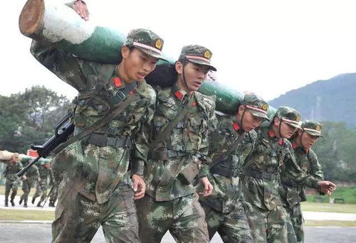 新逆袭的村庄短剧全集资讯，新兵从村里开始--第1张