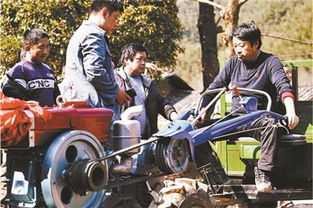真龙狂飙短剧全集资讯，真龙狂飙短剧全集剧情介绍--第1张