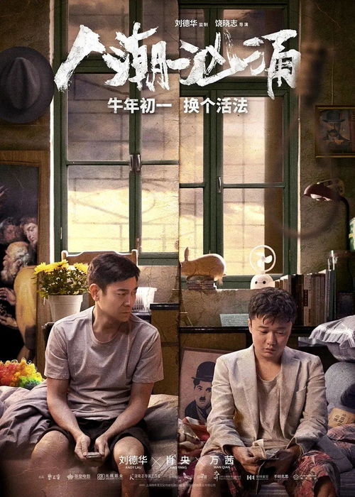 风起南城讲的什么 风起南城短剧全集资讯剧情 --第1张
