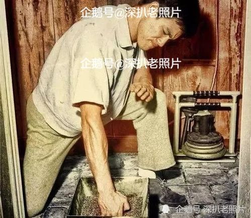 第一杀手女婿，龙婿短剧全集资讯剧情--第1张