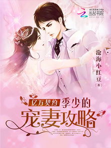 双面娇妻有点野，双面宠妻指南小说免费阅读剧情简介--第1张