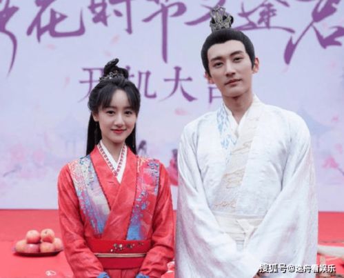 落花时节又逢君嫁给工厂大人马秋元短剧全集资讯剧情 落花时节又逢君大婚 --第1张