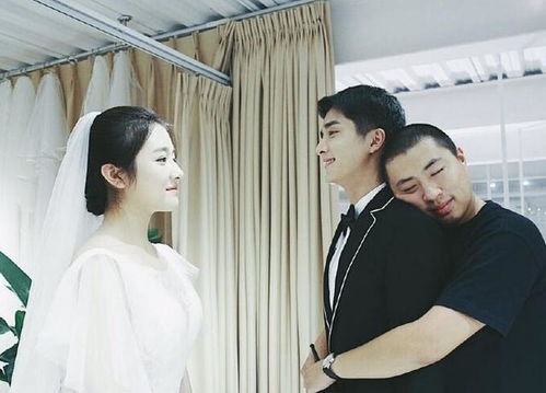 不想结婚的钟小姐短剧全集资讯剧情 不想结婚小说 --第1张