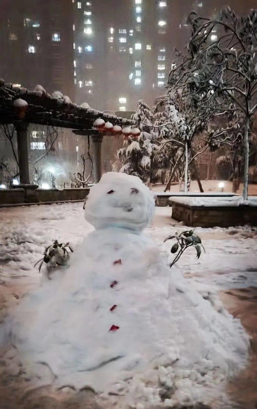 春雪落无声短剧全集资讯剧情 小说春雪 --第1张