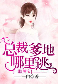 一胎二宝，爹地来了妈咪快跑全集剧情介绍--第1张