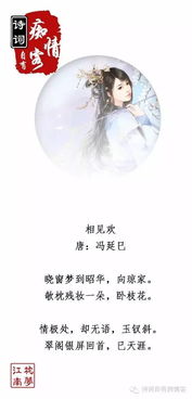 相思不似相逢短剧全集资讯剧情 相思不似相逢好免费阅读 --第1张