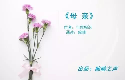 春雨细无声全集剧情，无声短剧，情感交织--第1张