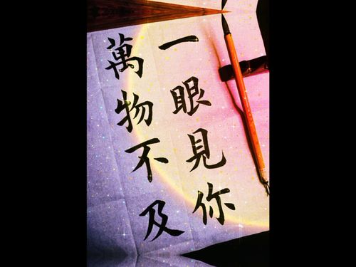 心动世间万物，只为遇到你，世间万物不及你的长篇版短剧全集资讯--第1张