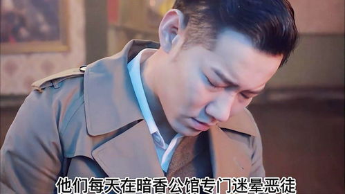 民国乱世芳华，督军的复仇娇妻短剧全集资讯剧情--第1张