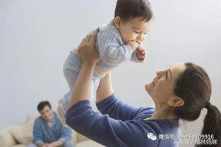 一胎二宝离婚前老婆重生了短剧全集资讯剧情 一胎二宝,离婚前老婆重生了 --第1张