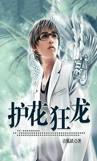 护花龙婿短剧全集资讯剧情 护花狂龙百度百科 --第1张