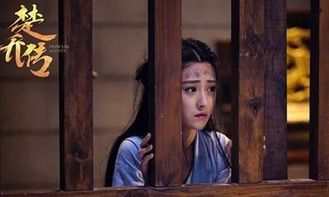 小神农短剧大结局视频之神秘结局--第1张