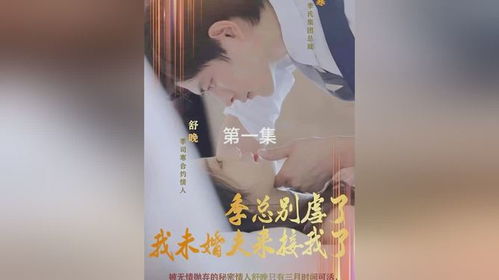 季总别虐了我未婚夫来接我了短剧大结局 男主叫季总的小说 --第1张