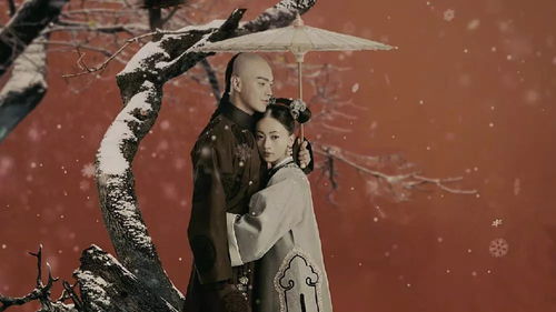 暴君太子短剧大结局在线观看--第1张