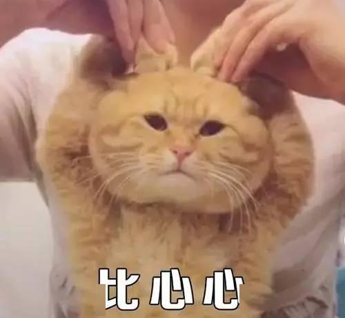 我的白眼狼儿子我的三只白眼狼儿子短剧大结局 白眼狼,我 --第1张