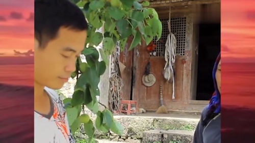 植物人妻子躺了13年电视剧 植物人老婆弃在医院，睁眼即巅峰短剧大结局 --第1张