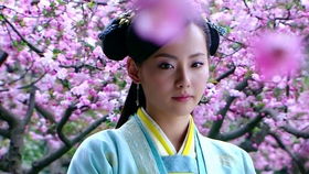 穿越奇缘之侠女归来，大结局--第1张
