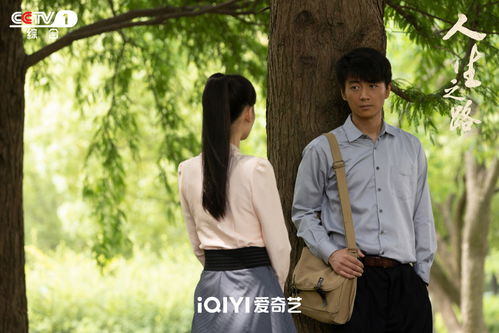 陌路恋人短剧大结局集数80集--第1张