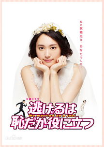 黎总的小逃妻 黎总的替嫁娇妻路太野短剧大结局 --第1张