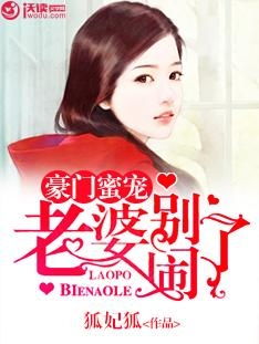 豪门婚宠，前妻请负责大结局--第1张