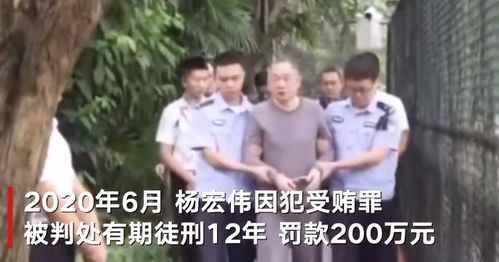 捡了个老公是大佬短剧大结局，爱情终成，幸福美满--第1张