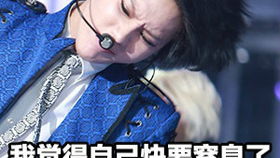 百灵典当铺短剧大结局免费观看 百灵典当铺短剧大结局 --第1张