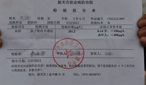 离婚后前夫捡到了我的孕检单短剧大结局--第1张