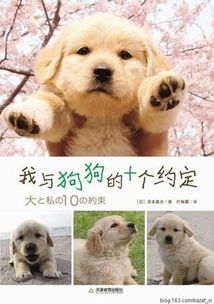 系统叫我做好人，添狗大结局--第1张