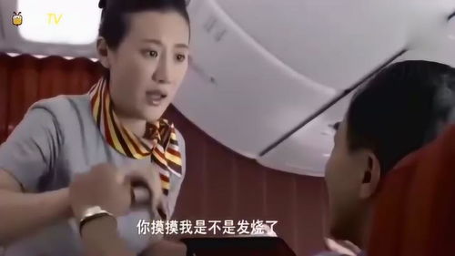 我的空姐老婆短剧大结局 我的空姐老婆短剧大结局是什么 --第1张