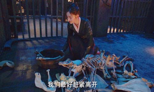 无双人龙短剧大结局视频  无双人龙短剧大结局 --第1张