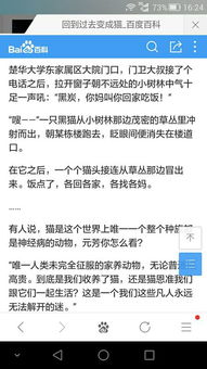 过度反应大结局，爱情终将走向圆满--第1张