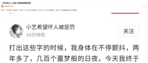 律证佳人短剧大结局，捞人与举报的真相--第1张