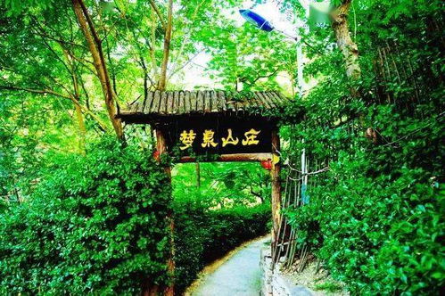 七个哥哥大佬宠上天，我真是完蛋了！--第1张