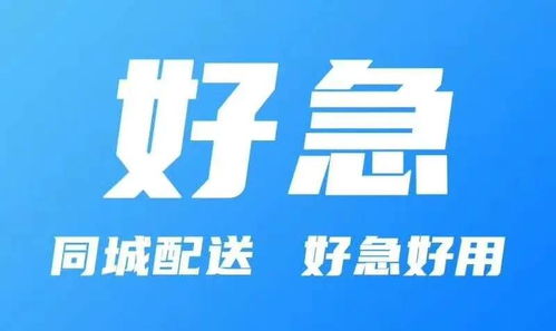 超级跑腿，系统大结局的揭秘与探索--第1张