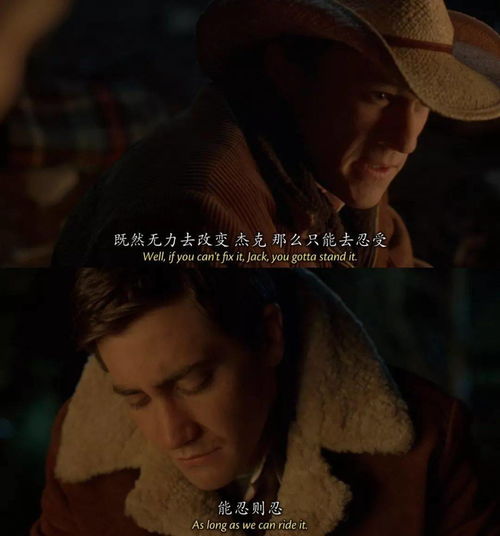 替身走后沈少他疯了短剧大结局，误会解除，两人幸福生活在一起--第1张