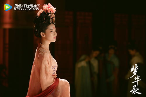 和离后，夫人惊艳了世界大结局--第1张