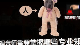 神级钓鱼佬短剧大结局 神级钓鱼佬短剧大结局在线观看 --第1张