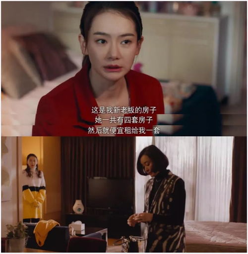 深情女主人设崩了短剧免费阅读大结局，一场误会，让两人重逢，幸福生活。--第1张